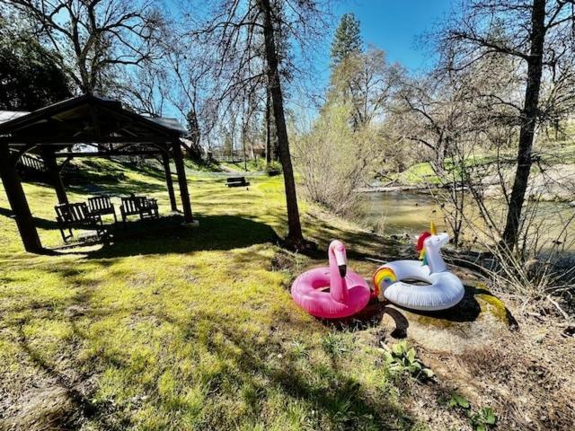 Holiday home Creekside Sleeps 2 Creek Frontage Bbq *