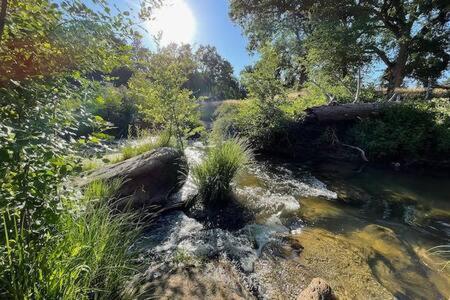 Creekside Sleeps 2 Creek Frontage Bbq Holiday home